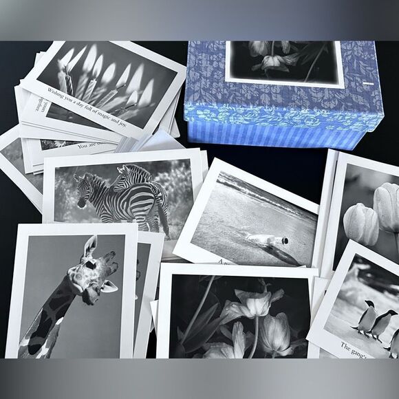 NEW SEASONS Contemporary All Occasion Greeting Cards 5" x 7" box with envelopes - Picture 1 of 5